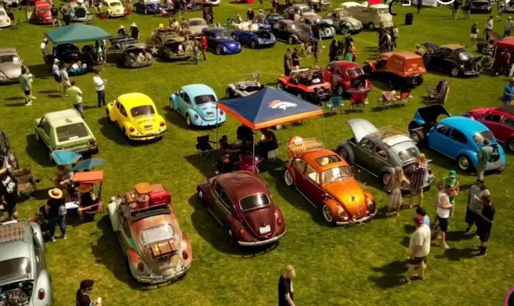 VW bugs aerial view